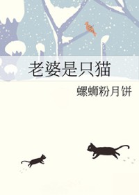 衣帽间安全屋[末世]