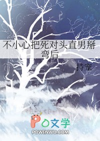 难为鸾帐恩