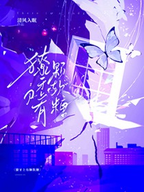 烂漫定格